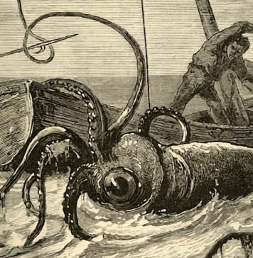 Animali leggendari e dove (non) trovarli